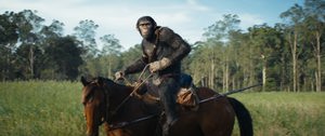 Kingdom Of The Planet Of The Apes 2024 Scenes