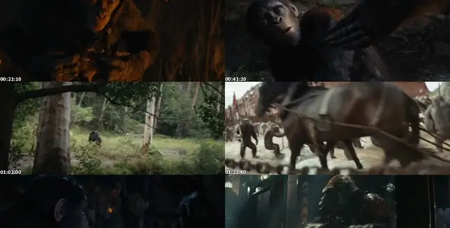 Kingdom Of The Planet Of The Apes 2024 Screens