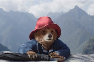 Paddington In Peru 2024 Scenes