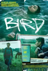دانلود فیلم پرنده Bird 2024