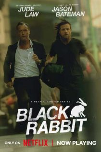 دانلود مینی سریال بلک ربیت Black Rabbit S01 2025
