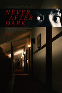 دانلود فیلم Never After Dark 2026